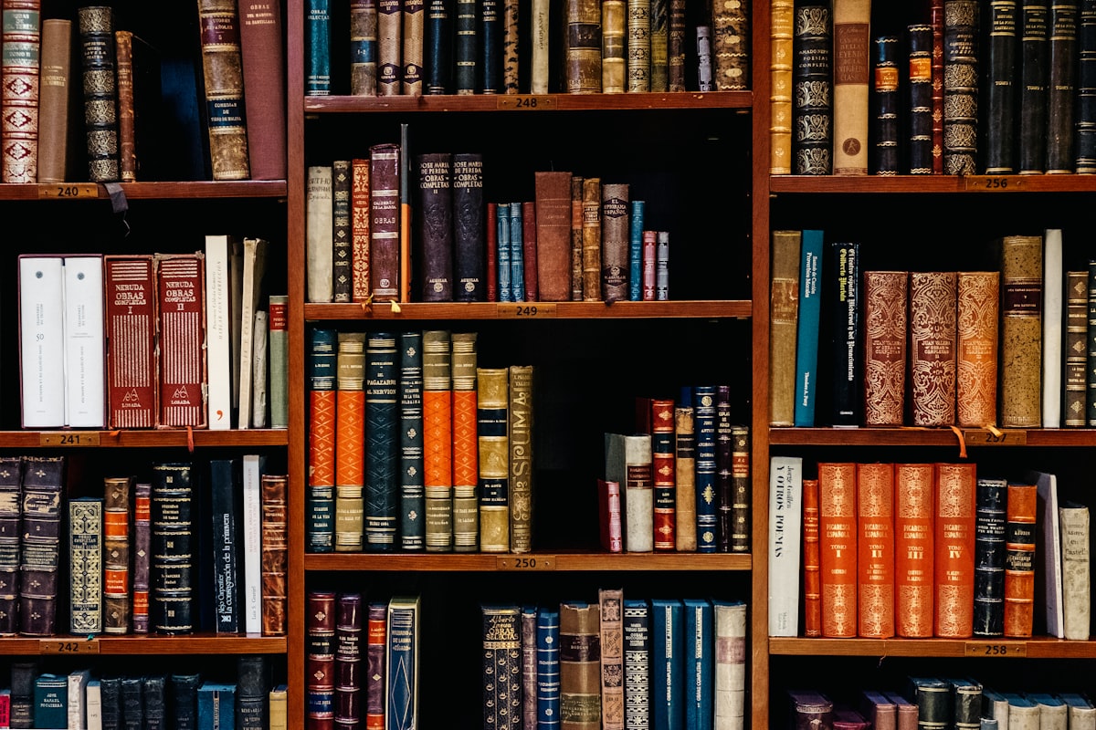 Library & Reading Zone